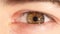 Human eye iris contracting. Extreme close up