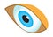 Human eye isometric icon vector. Isometric medical ophthalmologist eyesight sign. 3d human organ symbol.