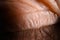 Human eye lash natural condition closeup