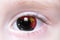 Human eye with national flag of papua new guinea