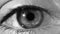 Human Eye Scan Technology Interface Animation. Close-up of high tech cyber eye, monochrome