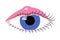 Human eye with swelled eyelid. Blepharitis. Eyeball inflammation medical llustration.