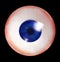 Human eyeball with blue iris