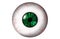 Human eyeball with green iris