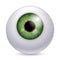 Human eyeball iris pupil - green color