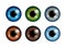Human eyeballs iris pupils set - assorted colors.