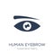 Human Eyebrow icon. Trendy flat vector Human Eyebrow icon on white background from Human Body Parts collection
