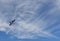 human face formed of clouds, looking at a seagull, on a hot August day in the black sea sky, romania, no edit