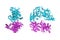 Human fatty acid synthase. Ribbons diagram in two projections based on protein data bank entry 4piv. 3d illustration