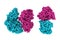 Human fatty acid synthase. Space-filling molecular model in two projections on white background. 3d illustration