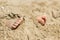 Human feet buried in sand. Summer beach.