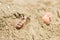 Human feet buried in sand. Summer beach.