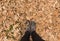 Human feet stepping on dry autumn leaves