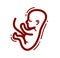 Human fetus embryo womb unborn child vector linear icon isolated