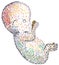 Human fetus - mosaic pattern - single cell biology