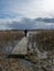 A human figure on a wooden pedestrian footbridge in a swamp, traditional swamp vegetation background