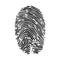 Human fingerprint  finger print or biometric scan line art vector icon for apps and websites