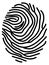 Human fingerprint icon. Black identity symbol. Privacy sign