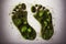 Human footprint showing nature as a sign of environmental awareness and a green future