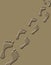 Human footprints