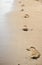 Human footprints on the beach sand. Traces on the beach of a man or a woman. Footsteps on the beach in summer