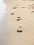 Human footprints on the beach sand. Traces on the beach of a man or a woman. Footsteps on the beach in summer