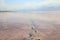 Human footprints in curative mud of pink salt Syvash lake in Kherson region, Ukraine