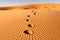 human footprints in the desert. Neural network AI generated