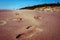 Human footprints disappearing in wet sand