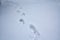 Human footprints going into the distance on white snow