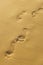 Human footprints in the sand of the beach