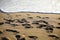 Human footprints on the sand of a beach during a peaceful late summer sunrise