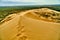 Human footprints in the sand. Rifts and dunes. Grass and trees after the desert.