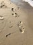 Human footprints on a sandy beach by the sea
