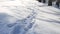 Human footprints in the snow winter landscape nature path a lot of snow