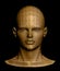 Human gold head. Vector illustration