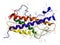 Human growth hormone somatotropin