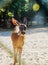 Human hand is feeding a deer with bread