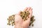 Human hand full of Dry marijuana buds, cannabis dried flowers, medical marijuana, with white table as background