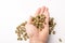 Human hand full of Dry marijuana buds, cannabis dried flowers, medical marijuana, with white table as background