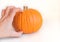 Human hand grabbed a pumpkin isolated on white background
