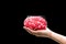 Human hand holding the Command Concept brain in memory