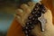 Human hand holding a rosary on the shoulder closeup. Junior young man hands praying holding a rosary with Jesus Christ Cross or