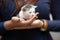 Human hand holding a striped brindled kitty cat