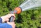 Human hand holding water sprinkler and watering green garden