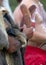 Human hand holds ritual clapsticks for the welcome ritual rite at an indigenous community event in Australia