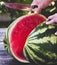 Human hand with a knife cuts in half a ripe large watermelon