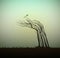 Human hand looks like tree with on soil and stretching the sprout to the sun, help the tree concept, save the forest