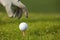 Human hand positioning golf ball on tee, close-up