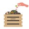 Human hand puts core apple in box with compost. Wooden box with fruits, vegetable scraps, greens in ground. No Food